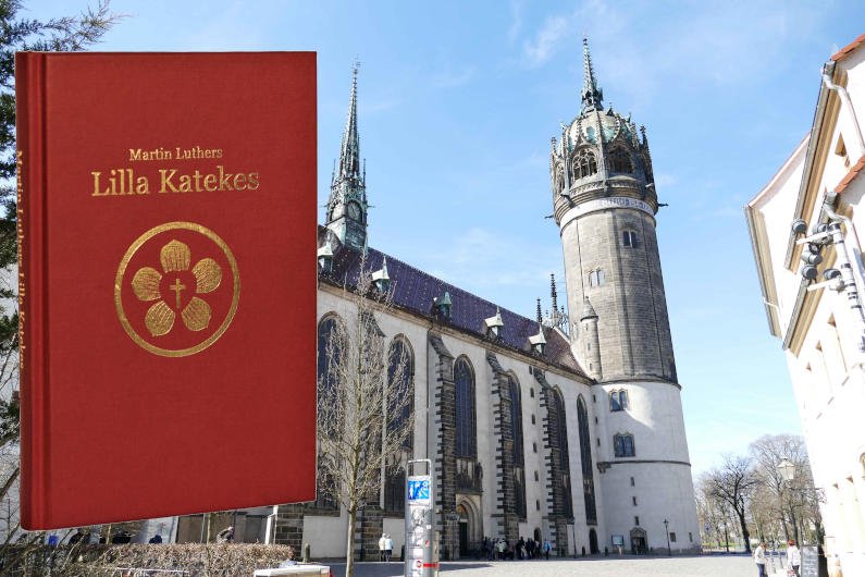 ny-katekes